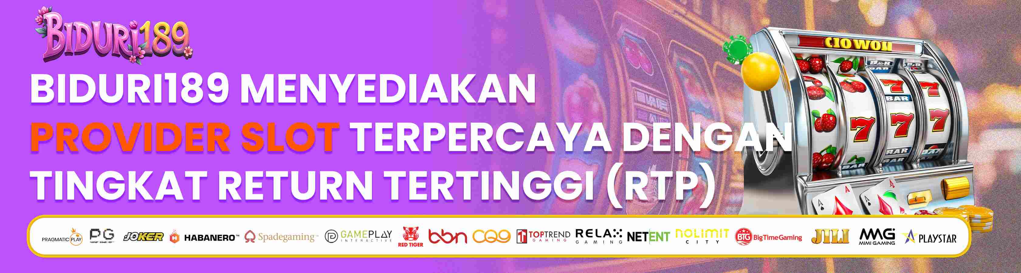 Banner Slot BIDURI189